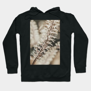 Botanical Abstract 2 Hoodie